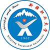 新疆大学科学技术学院